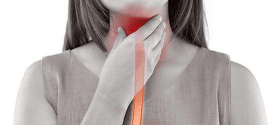 갑상선 목부음 7