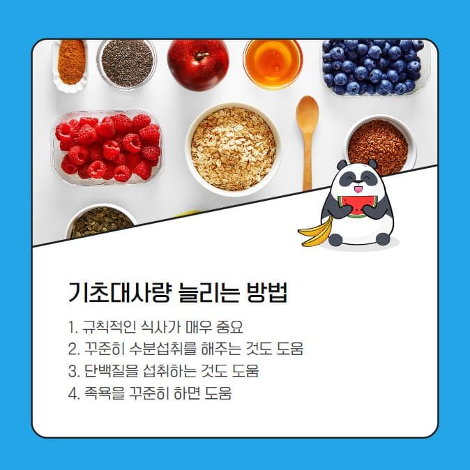 기초대사량 계산기 4