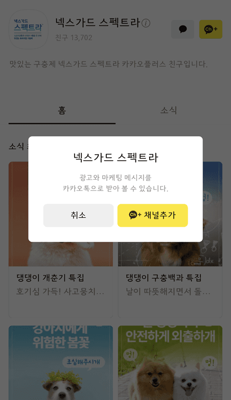 넥스가드 스펙트라 9