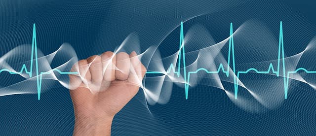 성인 정상 맥박수 4