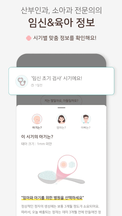 임신주수계산기 5
